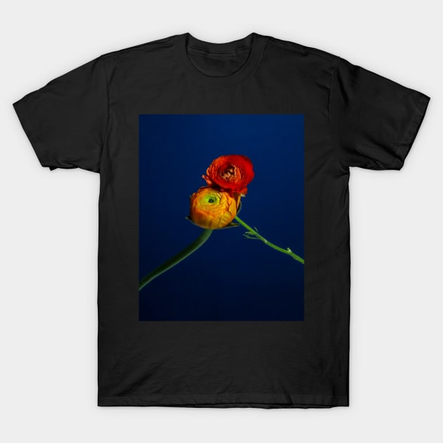 Ranunculus - Entwined T-Shirt by Thomas G. Bugarin